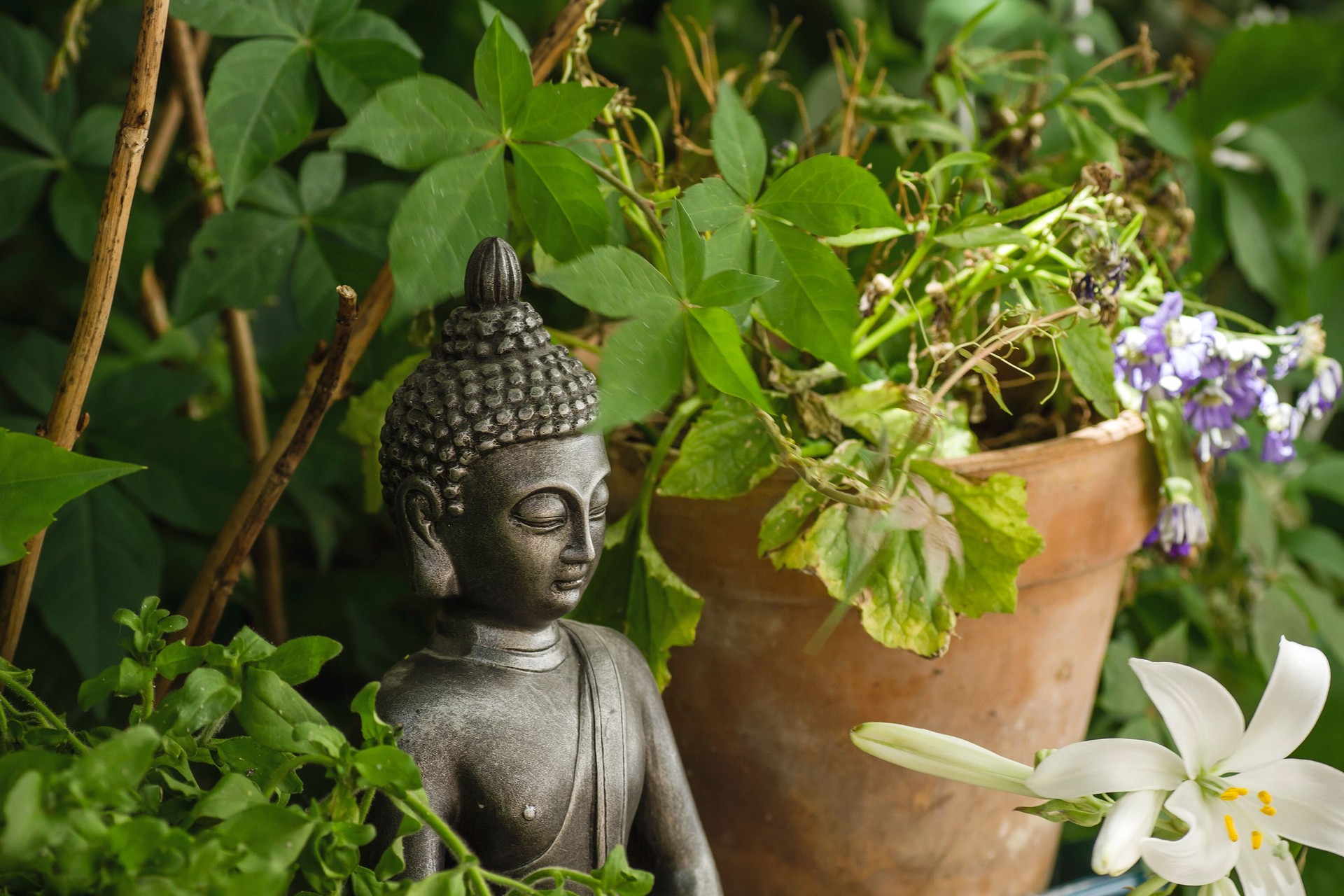 Gautama Buddha decorative statue